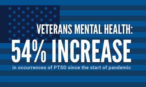 Veteran Mental Health stats