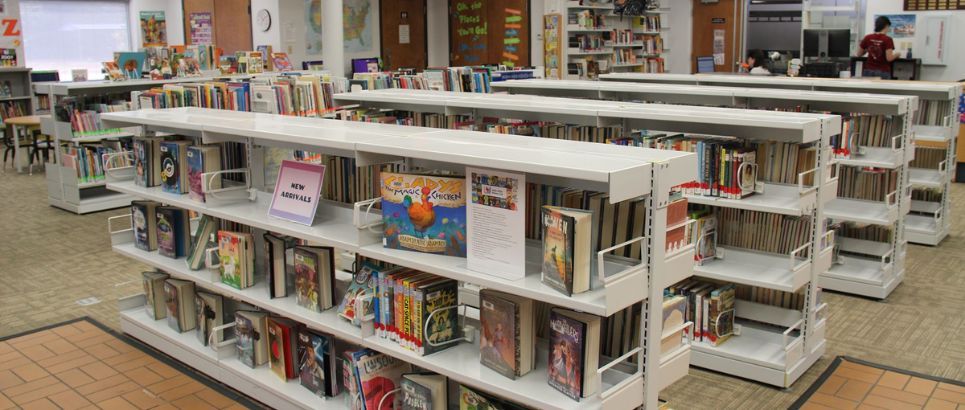 Pilot Point Community Library