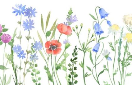 spring flowers
